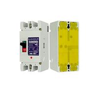 Interruttore automatico 2 Pz Lotto 2P 250A DC440V Interruttore automatico CC scatolato PV