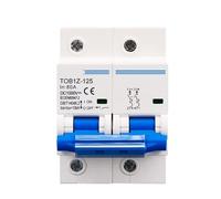 Interruttore automatico 2P 1000V DC MCB 80A 100A 125A for interruttore principale della batteria con curva C PV 1 pz.(100A)