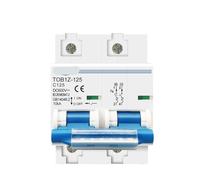 Interruttore automatico 2P 125A 100A 80A DC MCB 600V Interruttore principale della batteria a curva C 1 pz.(100A)
