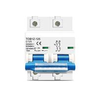 Interruttore automatico 2p 80A 100A 125ADC MCB 600V Interruttore automatico for impianto fotovoltaico curva C Protettori di dispersione a terra (Size : 125)