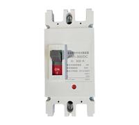 Interruttore automatico 2P DC 12V 24V 48V 96V 120V 80A 100A 125A 160A 200A 250A 300A 400A 500A Protezione celle solari RV Isolatore batteria(500A)