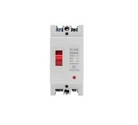 Interruttore automatico AC 2P/3P 220V/380V 32A 40A 63A 80A 100A MCCB protezione da sovraccarico interruttore protettore adatto for solare fotovoltaico(2P,32A)