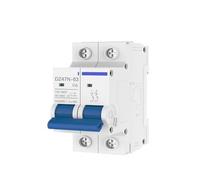 Interruttore automatico AC in miniatura a 2 poli 6A 10A 16A 20A 25A 32A 40A 50A 63A 120/240V Interruttore for montaggio su guida di viaggio magnetico termico