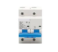 Interruttore automatico CB-125G 2P 80A 100A 125A DC 125V/220V AC400V(125A)
