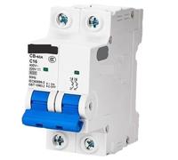 Interruttore automatico CB-60 CB-60G DC/AC 110V 220V 6A, 10A, 16A, 20A, 25A, 32A, 40A, 50A, 63A, 80A, 100A, 125A(1P,CB-60G,80A)