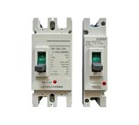 Interruttore automatico CC 1P 2P 12V 24v 48V 96V 120V 125A 160A 200A 250A 300A 400A 500A Protettore celle Isolatore batteria(100A)