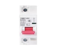 Interruttore automatico CC 1P 2P 12V 24V 60V 72V 96V Mini interruttore di protezione 80A100A125A150A200A250A per isolatore del circuito della batteria solare(1P,200A)