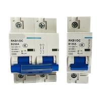Interruttore Automatico CC 1P/2P 80A 100A 125A 150A 200A 250A Interruttore Di Protezione Della Corrente For Celle Solari 12/24/48/120V Batteria For Yacht For Camper(1p,250A)