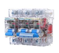 Interruttore automatico CC 1P/2P DC24V48V60V120V Interruttore aria 80A100A125A for interruttore di protezione della batteria(100A,1P)