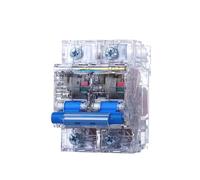 Interruttore automatico CC 1P/2P Interruttore di protezione trasparente 12V 24V 48V 60V 72V 96V 120V RKB1/DC 80/100/125A for protezione della corrente della batteria solare(2P,80A)