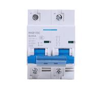 Interruttore automatico CC 2P 80A/100A/125A/150A/200A/250A Interruttore automatico di protezione della batteria RV 12V-125(100A)