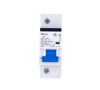 Interruttore Automatico CC CB-125A 1P 48V Speciale Per La Comunicazione Del Veicolo 80A 100A 125A(125A)