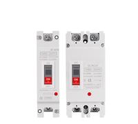 Interruttore automatico CC in scatola stampata solare MCCB Interruttore di protezione da sovraccarico Interruttore di protezione fotovoltaico PV 150A 250A Isolatore for batteria(100A,2P)