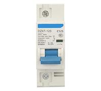 Interruttore automatico corrente, DZ47-125 Interruttore automatico corrente 1 P AC 230 V 80/100 / 125A Protezione supplementare protezione interruttori di tenuta(125A)