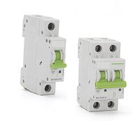Interruttore automatico Curva C MCB 1P 2P 1A 6A 10A 16A 20A 25A 32A 40A 50A 63A Interruttore automatico miniaturizzato 6KA 110V/230V 50/60HZ con certificazione CE Interruttore automatico (Color : C63