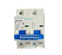 Interruttore automatico DC 1P/2P 12V 24V 36V 48V 60V 72V 96V 120V mini isolatore 100A 125A 150A 200A 250A adatto for batteria inverter solare(2P,100A)