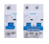 Interruttore automatico DC 2p DC 12-125V 1P Miniatura Protezione automatica Veicolo elettrico 80A/100A/125A/200A/250A Protezione della batteria(1P,80A)