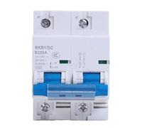Interruttore automatico DC 2p DC 12-125V 1P Protezione automatica for veicoli elettrici 80A/100A/125A/200A/250A Protezione della batteria(2P,100A)