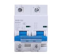 Interruttore automatico DC 2p DC 12-125V 1P Protezione automatica for veicoli elettrici 80A/100A/125A/200A/250A Protezione della batteria(1P,200A)