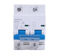 Interruttore automatico DC 2p DC 12-125V 1P Protezione automatica for veicoli elettrici 80A/100A/125A/200A/250A Protezione della batteria
