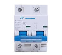 Interruttore automatico DC 2p DC 12-125V 1P Protezione automatica for veicoli elettrici 80A/100A/125A/200A/250A Protezione della batteria(1P,250A)