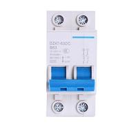 Interruttore automatico DC 2P Interruttore 3A-125A Interruttore pneumatico 12V-125V for protezione del circuito della batteria del tram fotovoltaico DC 1 pz(3 Years)
