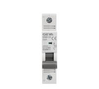 Interruttore automatico DC MCB 6KA 1P 250VDC 80A 100A 125A DC su guida DIN GYM9-125(125A)