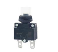 Interruttore automatico di protezione da sovraccarico termico da 1 A Controls Switches