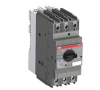 Interruttore automatico di protezione del motore MS165-16 MS165-20 MS165-25 MS165-32 MS165-42 MS165-54 MS165-65 MS165-73 MS165-80(62...73A)