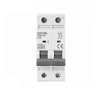 Interruttore automatico Din Rail DC MCB 6KA 2P 500VDC Mini interruttore automatico DC 80A 100A 125A MCB for impianto solare fotovoltaico(100A)