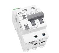 Interruttore automatico DIN Rail Riarmo Mini interruttore GRD9L-R Gym9 2p MCB 6KA Clever(Grd9l-r-ac220v,25A)