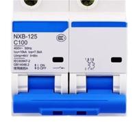 Interruttore automatico domestico/industriale di piccole dimensioni, microterminale ad alta corrente tipo NXB-125, 2P 100A(NXB-125 2P C125)