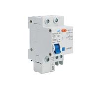 Interruttore automatico DZ47LE 1P 2P 3P 4P 10A 20A Interruttore pneumatico 60A(2P,100A)