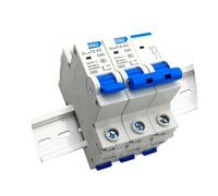 Interruttore automatico DZ47Z-63 DPN 1P 6A 10A 16A 20A 25A 32A 63A Interruttore di circuito domestico Interruttore di montaggio su guida DIN in miniatura