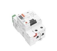 Interruttore automatico GYAR9 2P 40A con richiusura automatica, interruttore differenziale, display digitale del tempo di commutazione 10s 60s 300s(Type AC-2P-40A-30mA)