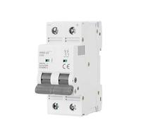 Interruttore automatico GYM9-125 DC MCB 2 poli 500 V CC Mini interruttore automatico 80 A 100 A 125 A 6 KA 1 pz(80A)