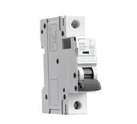 Interruttore automatico GYM9 1P su guida 220V 400V 6A-63A AC tipo 6KA interruttore con potere di interruzione(32A)