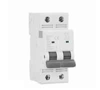 Interruttore automatico GYM9 Mini interruttore automatico bifase DP MCB Corrente nominale di 80 A 100 A 125 A 2P Larghezza 35,6 mm 400 V 6 KA 1 pz(100A)