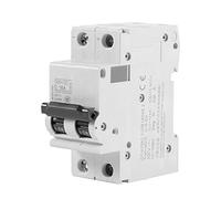 Interruttore Automatico in Miniatura, 1Pc 250V DC 2P a Bassa Tensione 16A/32A/63A, Protezione da Cortocircuito Interruttore a Energia Solare, Interruttore Smart Circuit Breaker Interruttore(16A)