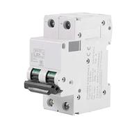Interruttore Automatico in Miniatura, 1Pc 250V DC 2P a Bassa Tensione 16A/32A/63A, Protezione da Cortocircuito Interruttore a Energia Solare, Interruttore Smart Circuit Breaker Interruttore(32A)