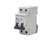 Interruttore automatico in miniatura 2P, 63 A, Curva C, Grigio. Ideale per proteggere circuiti elettrici in spazi ristretti. Design compatto ed efficiente per la massima sicurezza.
