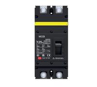 Interruttore automatico in scatola stampata DC MCCB 2 poli 1500 V 100 A 125 A Protezione del sistema solare fotovoltaico della batteria(100A DC12-1500V)
