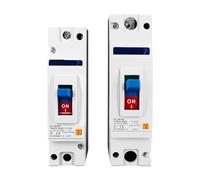 Interruttore automatico in scatola stampata MCCB solare 1P DC 500V DC MCCB Protezione da sovraccarico Curva B for batteria fotovoltaica solare(100A)