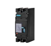 Interruttore automatico in scatola stampata solare MCCB 320A 2P 3P DC 1 pz. Interruttore di protezione da sovraccarico, protettore della batteria(3P 1500V DC,125A)