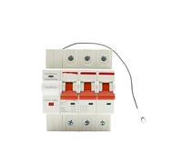 Interruttore automatico intelligente completamente con telecomando vocale e timer for interruttore 2P(100a)