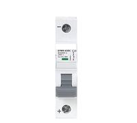 Interruttore automatico Interruttore automatico 6ka 1p 250v Mini interruttore automatico DC6A 10A 16A 20A 25A 32A 40A 50A 63A (Color : 40a, Size : GYM9 DC 1P)