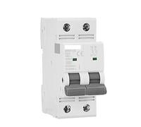 Interruttore automatico Interruttore automatico Gym9-125 MCB 2p 80A 100A 125A AC C C. Curva Mini interruttore automatico DP MCB Larghezza 35,6 mm 400 V 6ka (Color : 80a, Size : 2 Pole C Curve)