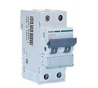 Interruttore magnetotermico Hager 2P 20A 4,5KA C 2 moduli MYN220