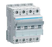 Interruttore Automatico Magnetotermico Hager 4P 25A 10KA curva D 4M NDN425A
