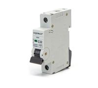 Interruttore automatico magnetotermico modulare 1P 32A Aigostar